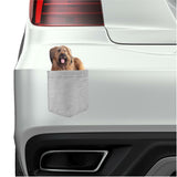 Briard Dog in pocket Fridge Car Magnet Bumper Sticker App size 4"x7"