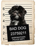 Lhasa Apso Mugshot Bad Dog Fridge refrigerator Car Magnet