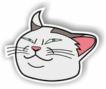 Smudge the Cat Meme MAGNET Magnetic Bumper Sticker Offended Funny Confused Cat