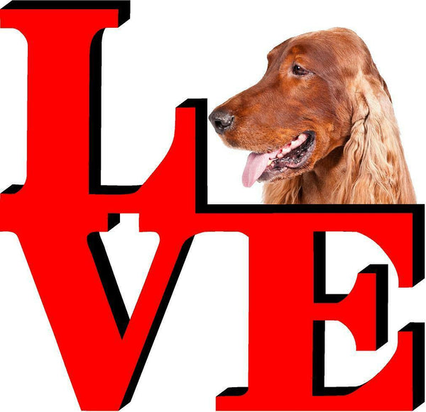 Irish Setter Dog Love Park Dog Fridge Refrigerator Car Magnet