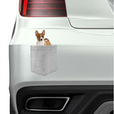 Basenji Dog in pocket Fridge Car Magnet Bumper Sticker App size 4"x7"