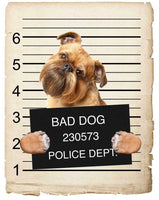 Brussels Griffon Mugshot Bad Dog Fridge refrigerator Car Magnet