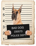 Great Dane Mugshot Bad Dog Fridge refrigerator Car Magnet