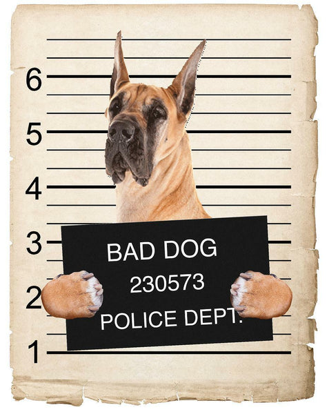 Great Dane Mugshot Bad Dog Fridge refrigerator Car Magnet