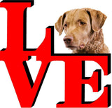 Chesapeake Bay Retriever Dog Love Park Dog Fridge Refrigerator Car Magnet