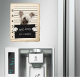 Chinese Crested Mugshot Bad Dog Fridge refrigerator Car Magnet