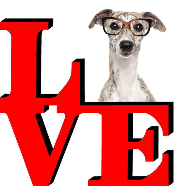 Greyhound with Glasses Dog Love Park Dog Fridge Refrigerator Car Magnet