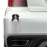 Bernese Mountain Dog in pocket Fridge Car Magnet Bumper Sticker App size 4"x7"