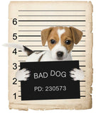 Russel Terrier Mugshot Bad Dog Fridge refrigerator Car Magnet