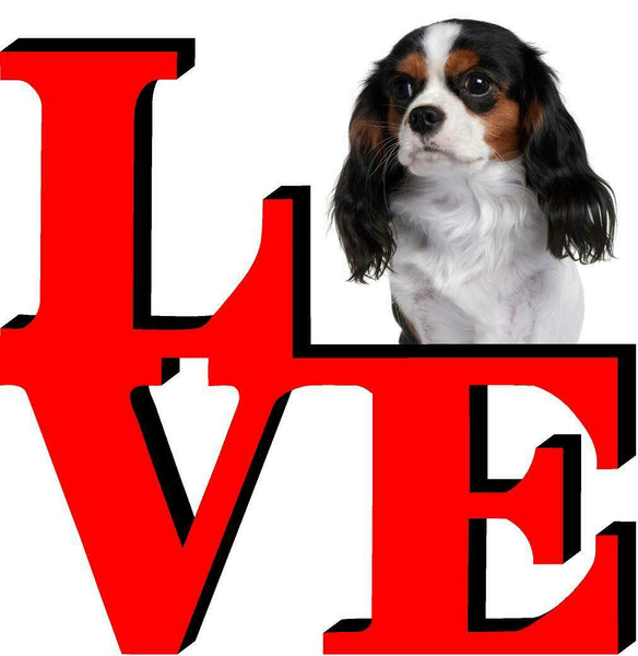Cavalier King Charles Spaniel Dog Love Park Dog Fridge Refrigerator Car Magnet
