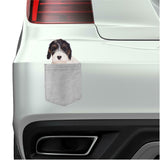 Sealyham Terrier Dog in pocket Fridge Car Magnet Bumper Sticker App size 4"x7"