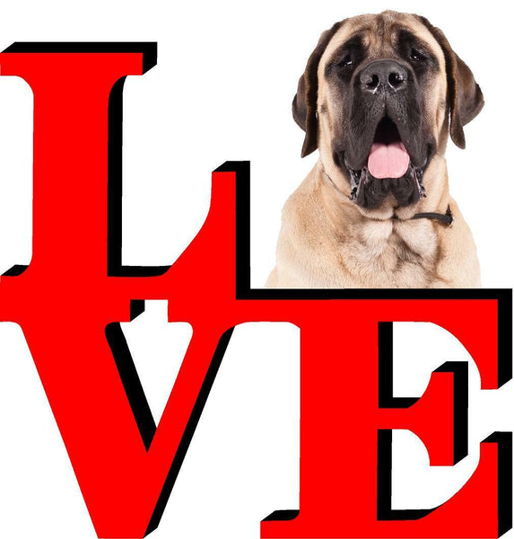 Mastiff Love Park Cute Dog Fridge Refrigerator Car Magnet