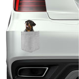 Rottweiler Dog in pocket Fridge Car Magnet Bumper Sticker App size 4"x7"