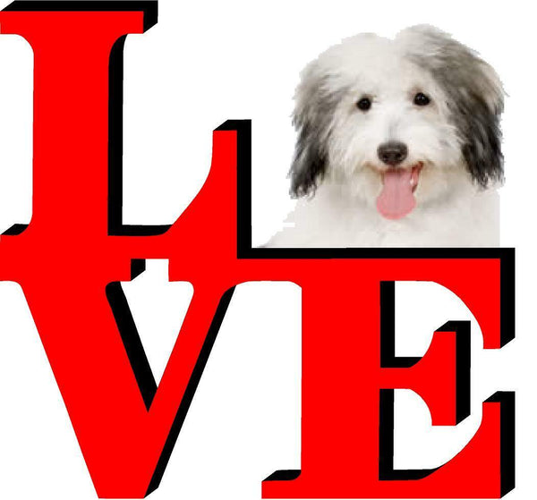 Coton De Tulear Dog Love Park Dog Fridge Refrigerator Car Magnet