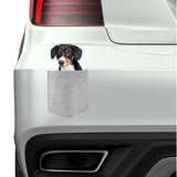 Wirehaired Vizsla Dog in pocket Fridge Car Magnet Bumper Sticker App size 4"x7"
