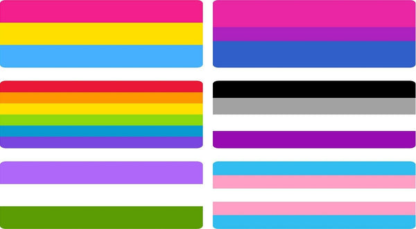 Set of 6 magnetic bumper stickers magnet LGBTQA pride flags Bisexual Pansexual