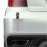 Doberman Pinscher Dog in pocket Fridge Car Magnet Bumper Sticker App size 4"x7"
