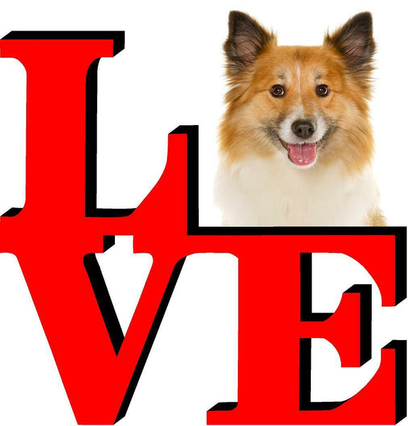 Icelandic Sheepdog Dog Love Park Dog Fridge Refrigerator Car Magnet