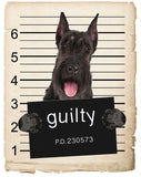 Giant Schnauzer Mugshot Bad Dog Fridge refrigerator Car Magnet