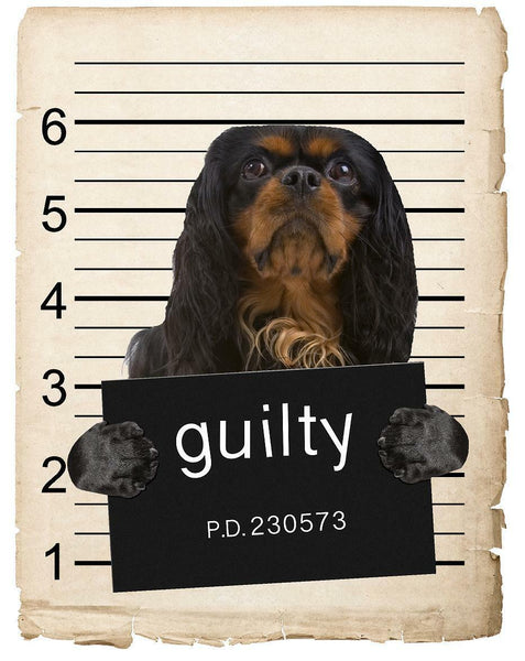 English Toy Spaniel Mugshot Bad Dog Fridge refrigerator Car Magnet