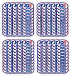 200 Car magnets Joe Biden for President 2020 Magnetic Bumper Sticker 5.5"x3.5"