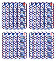 200 Car magnets Joe Biden for President 2020 Magnetic Bumper Sticker 5.5"x3.5"
