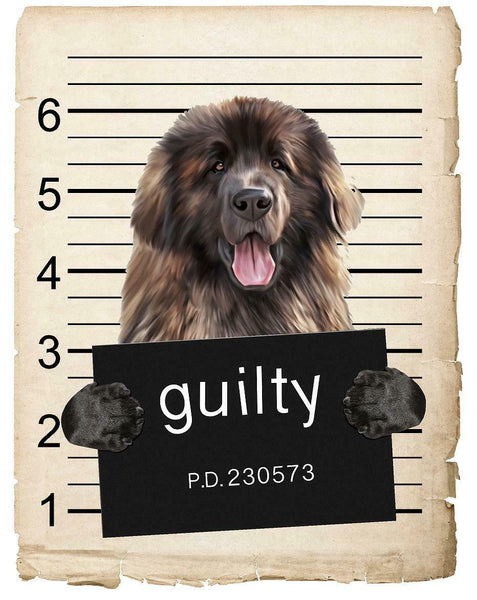 Leonberger Mugshot Bad Dog Fridge refrigerator Car Magnet