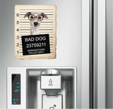 Greyhound with Glasses Mugshot Bad Dog Fridge refrigerator Car Magnet