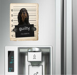 Gorden Setter Mugshot Bad Dog Fridge refrigerator Car Magnet