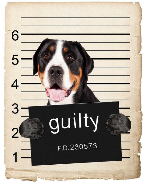 Greater Swiss Mountain Dog Mugshot Bad Dog Fridge refrigerator Car Magnet