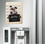 American Staffordshire Mugshot Bad Dog Fridge refrigerator Car Magnet
