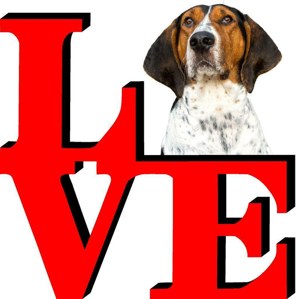 Tree Walker CoonHound Cute Dog Fridge Refrigerator Car Magnet