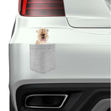 Lakeland Terrier Dog in pocket Fridge Car Magnet Bumper Sticker App size 4"x7"