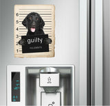 Curley coated retriever Mugshot Bad Dog Fridge refrigerator Car Magnet