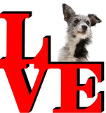 Australian Cattle Doq Love Park Cute Dog Fridge Refrigerator Car Magnet