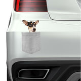 Rat Terrier Dog in pocket Fridge Car Magnet Bumper Sticker App size 4"x7"