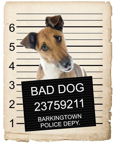 Fox Terrier Mugshot Bad Dog Fridge refrigerator Car Magnet