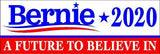 Bernie Sanders 2020 a future to believe in MAGNET Magnetic Bumper Sticker presid