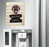 Mastiff Mugshot Bad Dog Fridge refrigerator Car Magnet