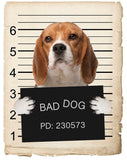 Beagle Mugshot Bad Dog Fridge refrigerator Car Magnet Bumper Sticker