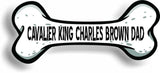 Dog Dad Cavalier King Charles Brown Bone Car Magnet Bumper Sticker 3"x7"