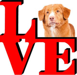 Nova Scotia Duck Toller Love Park Cute Dog Fridge Refrigerator Car Magnet