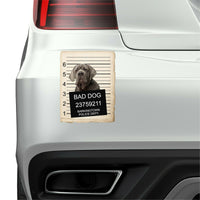 Neapolitan Mastiff Mugshot Bad Dog Fridge refrigerator Car Magnet
