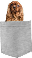 Cavalier King Charles in pocket Fridge Car Magnet Bumper Sticker App size 4"x7"
