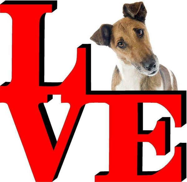 Fox Terrier Dog Love Park Dog Fridge Refrigerator Car Magnet