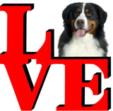 Bernese Mountain Dog Love Park Cute Dog Fridge Refrigerator Car Magnet