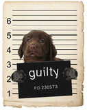 Flat coated retriever Mugshot Bad Dog Fridge refrigerator Car Magnet