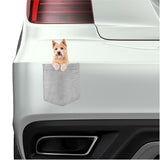 Norwich Terrier Dog in pocket Fridge Car Magnet Bumper Sticker App size 4"x7"