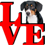 Wirehaired Vizsla Cute Dog Fridge Refrigerator Car Magnet