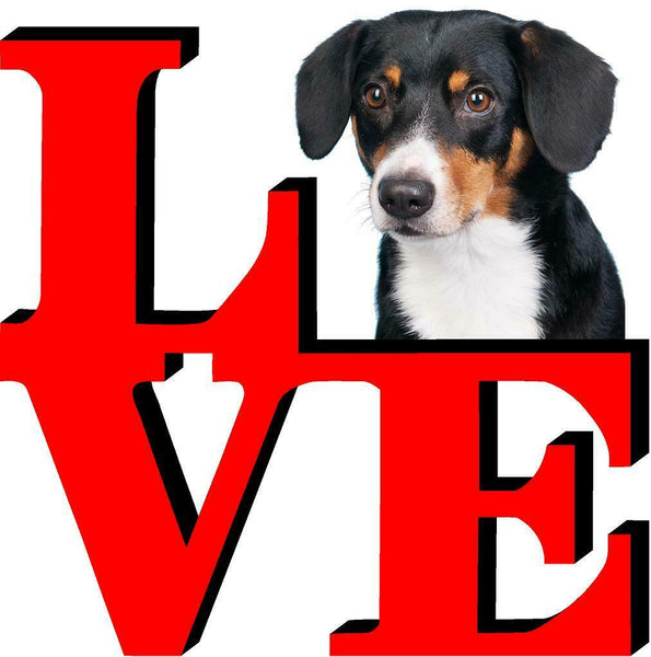 Wirehaired Vizsla Cute Dog Fridge Refrigerator Car Magnet